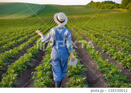 A person in overalls and a hat walks through rows of potato plants holding a tablet computer, examining the crop 138330012