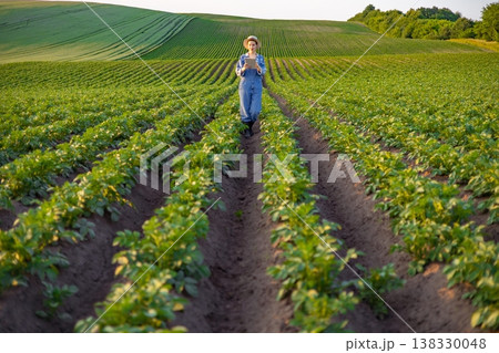 A young woman in overalls and a straw hat walks through a vast potato field, holding a tablet and examining the crops A young woman in overalls and a straw hat walks through a vast potato field, holding a tablet and examining the crops 138330048