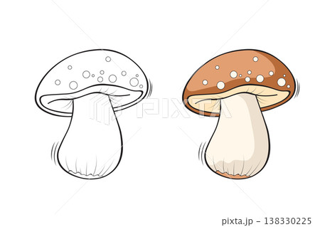 Mushroom outline and colored version side by side, hand drawn fungi vector illustration for coloring book pages 138330225