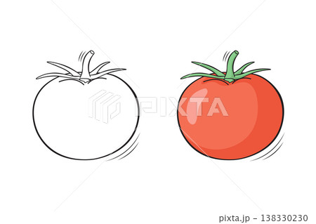 Tomato outline and colored version side by side, hand drawn vegetable vector illustration for coloring book pages Tomato outline and colored version side by side, hand drawn vegetable vector illustration for coloring book pages 138330230
