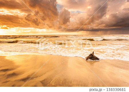Golden sunset and tree root on beach 138330681