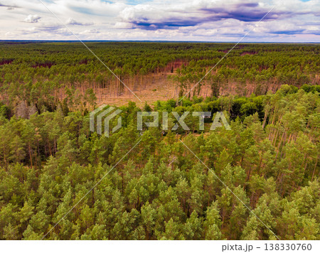 Tuchola forest in Poland. Aerial view Tuchola forest in Poland. Aerial view 138330760