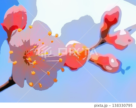 杏子の花と春の空(afr20260327144603) 杏子の花と春の空(afr20260327144603) 138330795