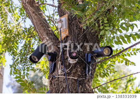 Security cameras, lamps and electrical outlet on tree outdoors Security cameras, lamps and electrical outlet on tree outdoors 138331039
