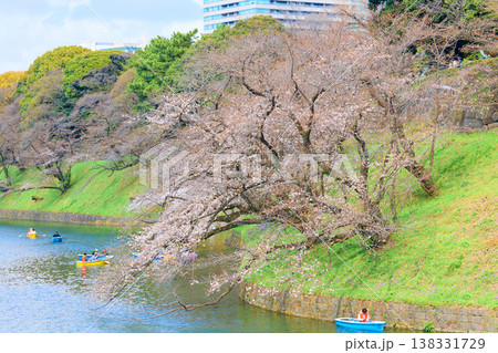 千鳥ヶ淵の桜 千鳥ヶ淵の桜 138331729