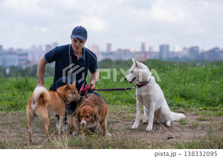 A Caucasian man walks with three dogs. Dog walker. A Caucasian man walks with three dogs. Dog walker. 138332095