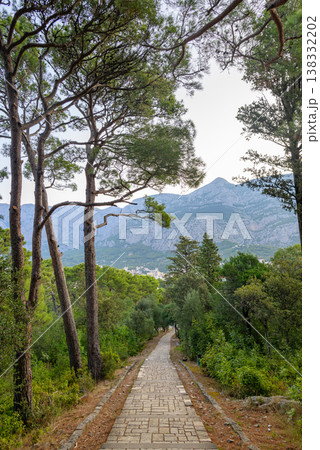 Stone-paved path through lush pine forest leading toward Makarska town in Croatia with Biokovo mountain in the background 138332202