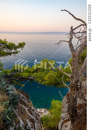 Cliffside pine trees overlooking calm sea at sunset 138332208