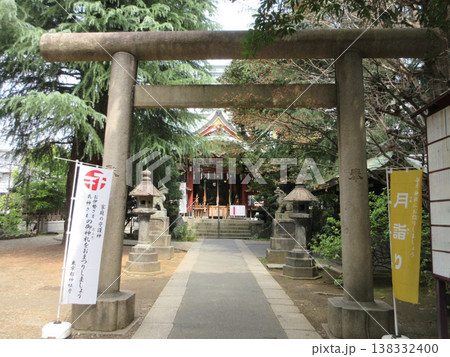 東京都渋谷区!青山熊野神社の鳥居と拝殿 東京都渋谷区!青山熊野神社の鳥居と拝殿 138332400