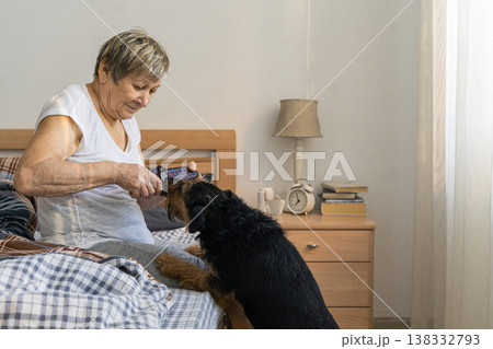 An elderly woman sits in bed, plays and interacts with her pet dog, enjoying companionship at home. The real life of an elderly person An elderly woman sits in bed, plays and interacts with her pet dog, enjoying companionship at home. The real life of an elderly person 138332793