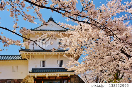 満開に咲く長岡城の桜 138332996