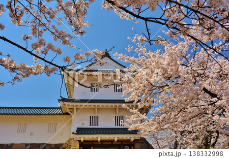 満開に咲く長岡城の桜 138332998