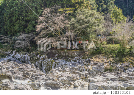 古座川の「滝の拝」 古座川の「滝の拝」 138333102