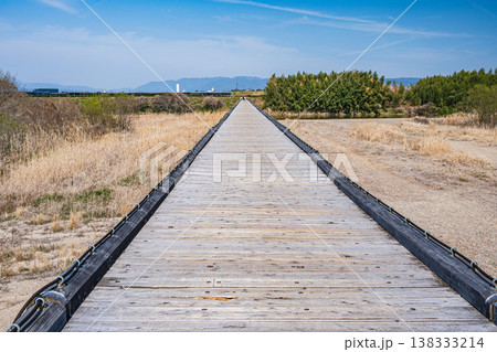 京都府八幡市の名所上津屋橋（流れ橋）　 138333214