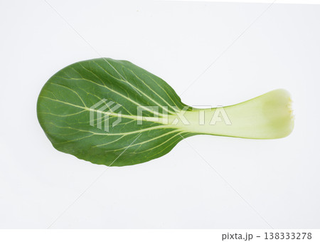 青梗菜 白バック 青梗菜 白バック 138333278