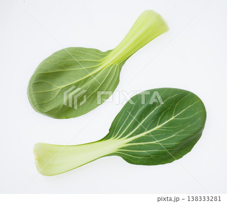 青梗菜 白バック 青梗菜 白バック 138333281