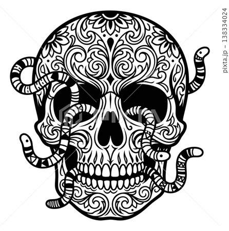 Ornate line art illustration of a sugar skull with snakes depicting floral mandala decoration for tattoo and Day of the Dead design 138334024