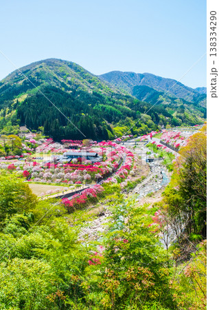 阿智村・花桃の里 138334290