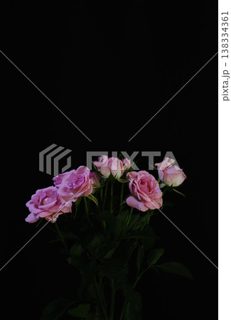 綺麗な薔薇の生花 138334361