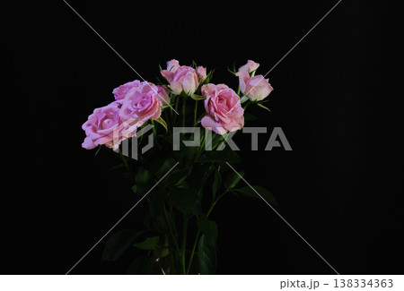 綺麗な薔薇の生花 138334363
