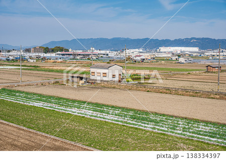 久御山町の田園風景　京都府久世郡久御山町 138334397