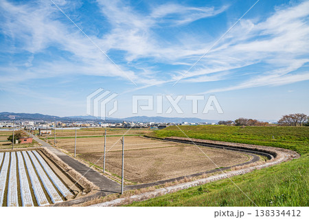 久御山町の田園風景 京都府久世郡久御山町 久御山町の田園風景 京都府久世郡久御山町 138334412