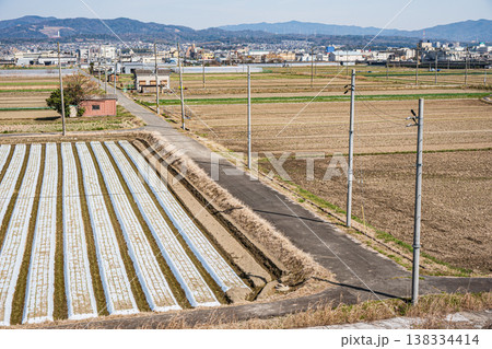 久御山町の田園風景　京都府久世郡久御山町 138334414