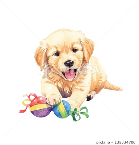 おもちゃで遊ぶゴールデンレトリバーの子犬（笑顔・かわいい・白背景・切り抜き素材） 138334700