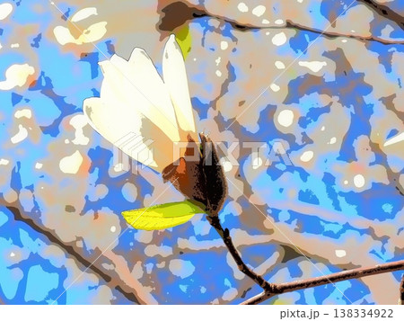 開き始めるコブシの花(afr20260327150439) 開き始めるコブシの花(afr20260327150439) 138334922