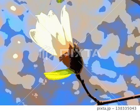 開き始めるコブシの花(afr20260327150459) 開き始めるコブシの花(afr20260327150459) 138335043
