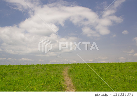 阿蘇の草原 大観峰 阿蘇の草原 大観峰 138335375