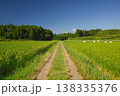 阿蘇のカルデラに広がる稲穂 138335376
