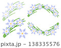 ハナニラ 138335576