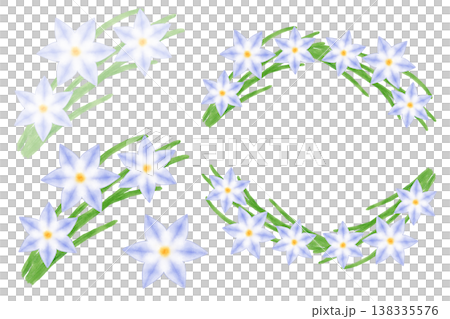 ハナニラ 138335576