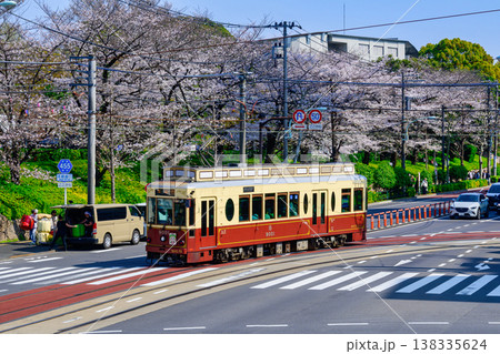 東京さくらトラム　宝くじ号（ 9001号車）と飛鳥山公園満開の桜 138335624