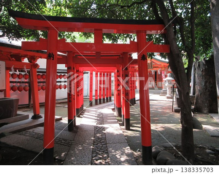 東京都渋谷区!豊栄稲荷神社の鳥居と参道 東京都渋谷区!豊栄稲荷神社の鳥居と参道 138335703