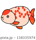 らんちゅうのイラスト 138335974