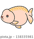 らんちゅうのイラスト 138335981