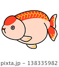 らんちゅうのイラスト 138335982