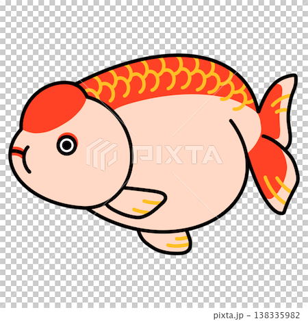 Ranchu illustration Ranchu illustration 138335982