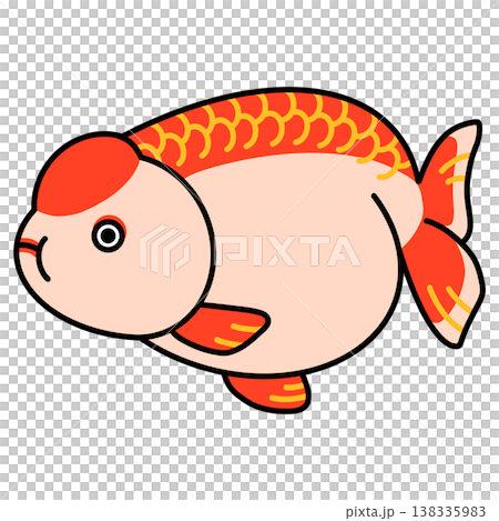 Ranchu illustration Ranchu illustration 138335983