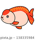 らんちゅうのイラスト 138335984