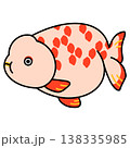 らんちゅうのイラスト 138335985