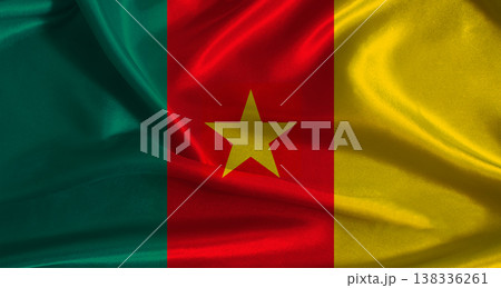 Cameroon flag with cloth textured background. National flag of Cameroon with realistic texture 138336261