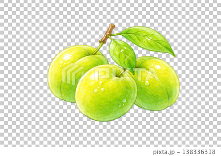 水彩畫，仿古風格，帶葉子的青梅，AI（人工墨水） 138336318