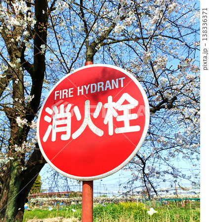 桜の花と消火栓の看板 桜の花と消火栓の看板 138336371