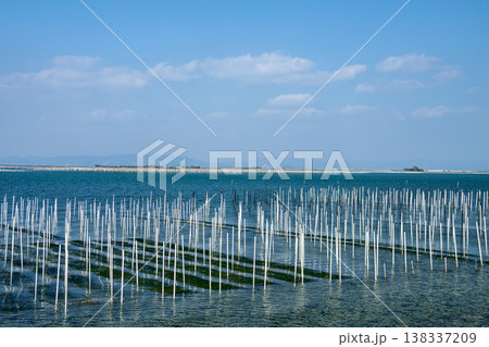 アオサ養殖の漁場（愛知県田原市） 138337209