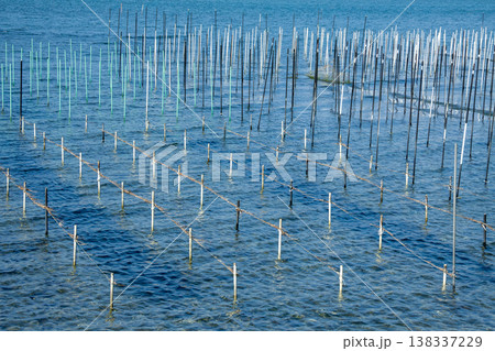 アオサ養殖の漁場（愛知県田原市） 138337229