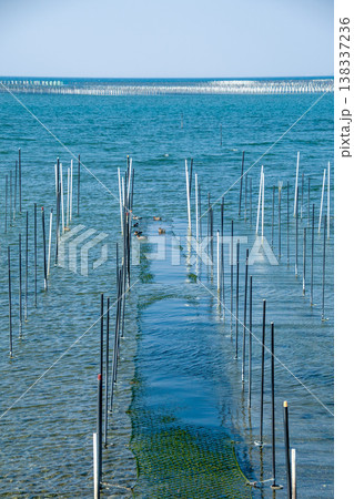 アオサ養殖の漁場（愛知県田原市） 138337236