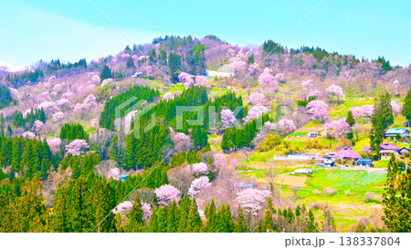 桜が咲き誇る信州小川村の美しい春の風景 桜が咲き誇る信州小川村の美しい春の風景 138337804